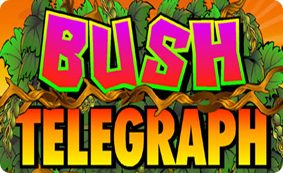 Bush Telegraph