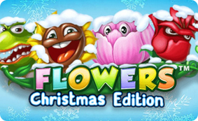 Flowers Christmas Edition