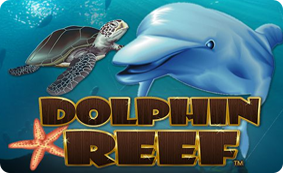 Dolphin Reef