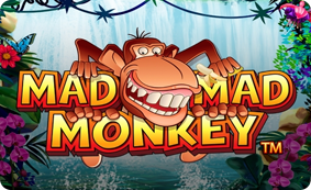 Mad Mad Monkey