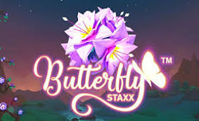 Butterfly Staxx
