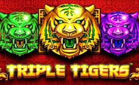 Triple Tigers