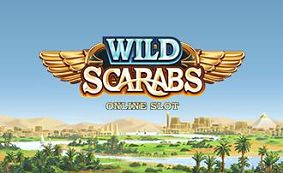 Wild Scarabs