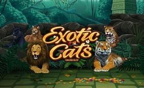 Exotic Cats