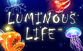 Luminous Life