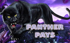 Panther Pays