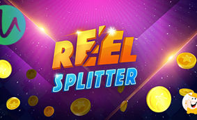 Reel Splitter