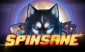 Spinsane